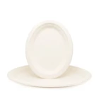 Plate Party Size Can Be Customized Bagasse Material Paper Plate Disposable Party Ellipse Plate