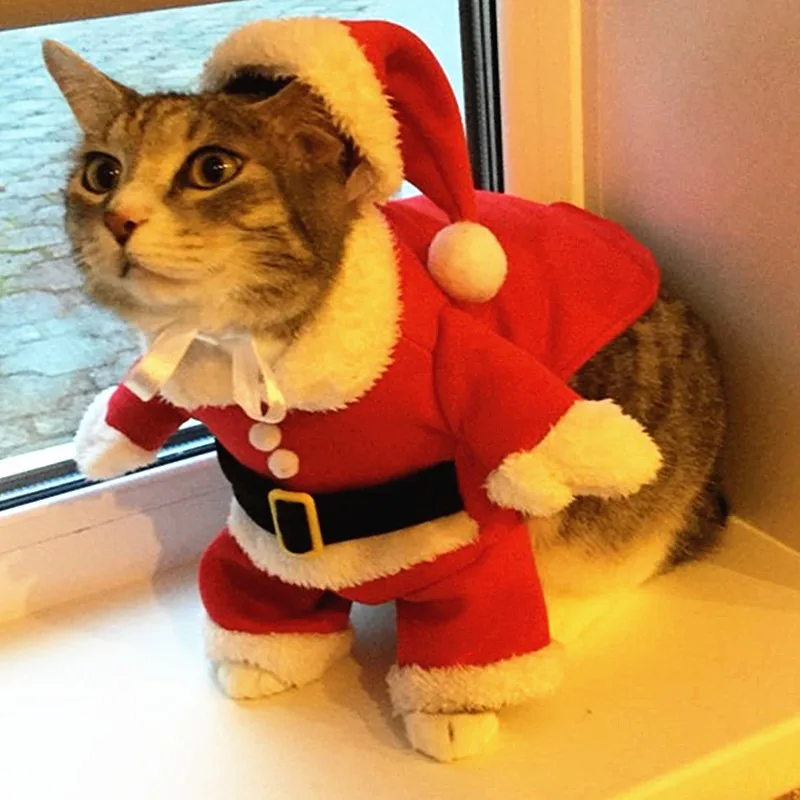 Disfraces De Navidad Para Gatos,Ropa Divertida Papá Noel Para Gatos Año Nuevo,Para - Buy Gato Ropa Para Mascotas Accesorios Para Perro Abrigos Ropa Para Ropa Impermeable Ropa Para