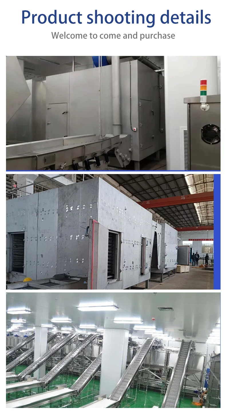 product double spiral dryer customizable capacity 304 stainless steel plc control for meat vegetables dry fruit machine-6