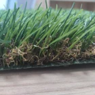 Grass Riyadh Grass Sewan Grass Artificial Grass For Leisure Landscaping