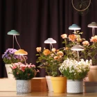 J C Minigarden Charloe Grow Light Led Indoor Plants Hydroponic Home Decoration And Garden Smart Garden Grow Plant Light