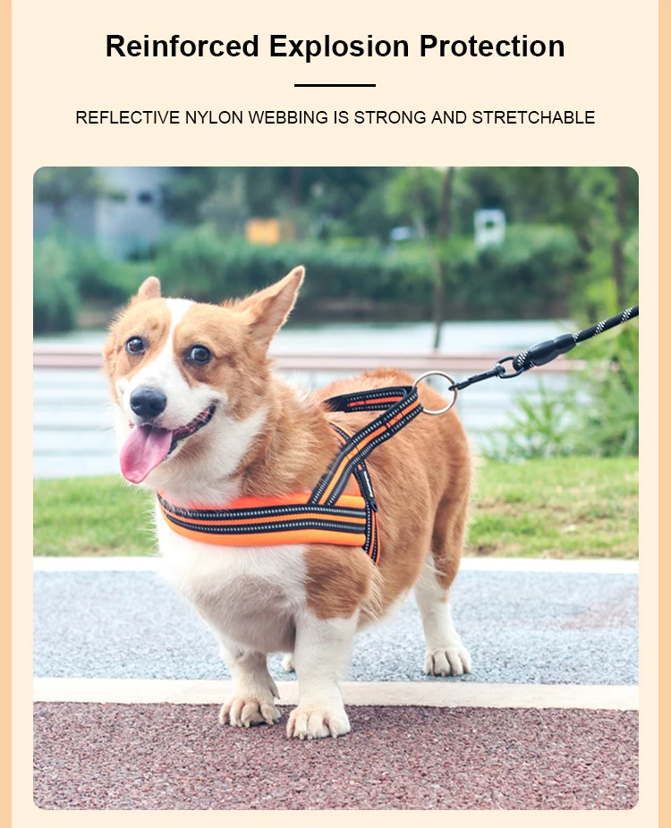 Soft Vest Neck Chest Adjustable Reflective Light weight Harness Anti-Twist Pet Lead Combo Dog Collar Leash And Harness Set