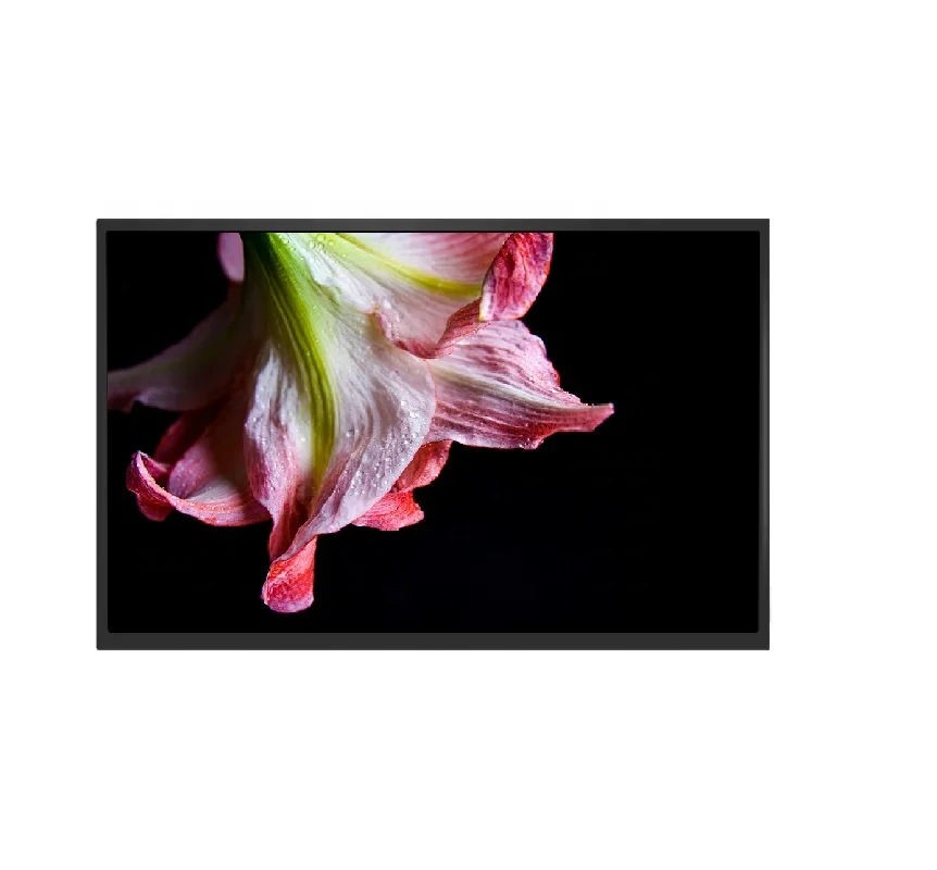 ips lcd display manufacturer