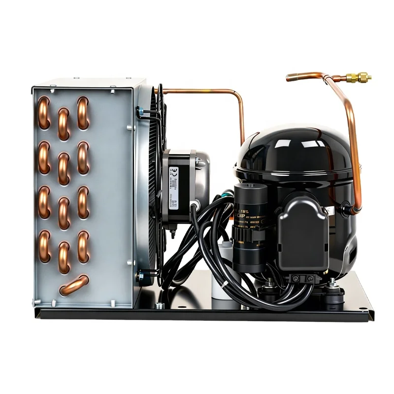 Condensing Unit, NT6220Z, 220V, R134A, 20-+5 - detail 8