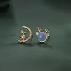 Crystal Earrings Drop Earrings New Asymmetric Elk Moon Crystal Earrings Delicate Cute Earrings For Women
