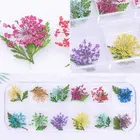 Nail 12pcs Morovan Nail Flower Decoration Dry Flower And Dry Glass