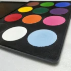 Color High Halloween 12 Color High Pigment Face Painting Water-based Makeup Palette Paint