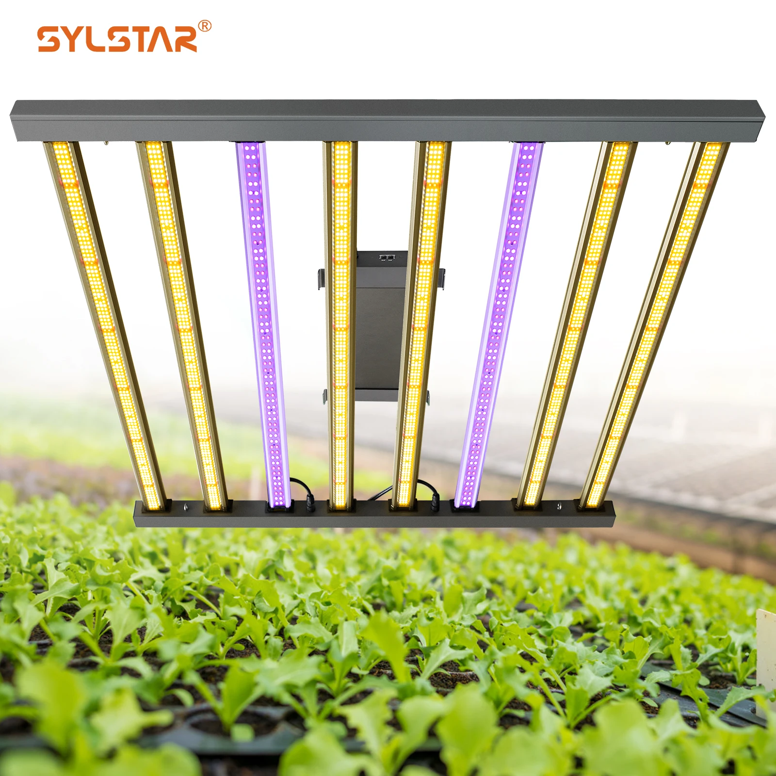 sylstar led grow light