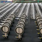 Valve Dn150 Pn16 DN40-1200 Pn10 Pn16 Wafer Flange Lug Type Concentric Butterfly Valve Dn50 Dn125 Dn150 Dn200 4 Inch 10 Inch