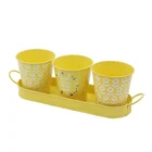 Metal Pot Metal Garden Metal Pot Metal Galvanized Herb Pot Planter Set With Tray For Indoor Garden Or Outdoor Use