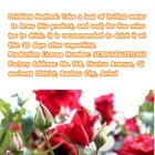 Golden Sweet Flower Tea Flowers Blooming Gift Box Golden Flower Sweet Rose Herbal Tea Stress Relieving