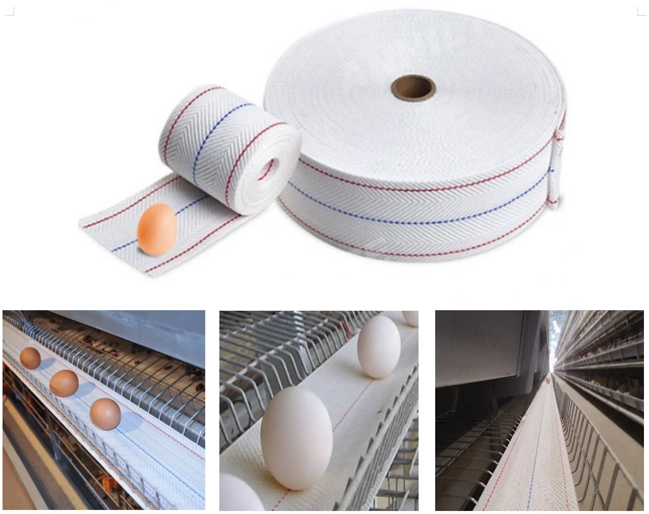 Automatic Chip Conveyor Belt Egg Collection pp Woven Egg Conveyor Belt 100mm Egg Conveyor Belt manufacture