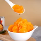 Best Quality Canned Mandarin Orange Canned Fruit Canned Orange USA