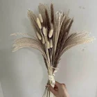 Wedding Wedding Flowers YAYUN CH2041 Natural Dried Flower Large Pampas Grass For Wedding Decoration