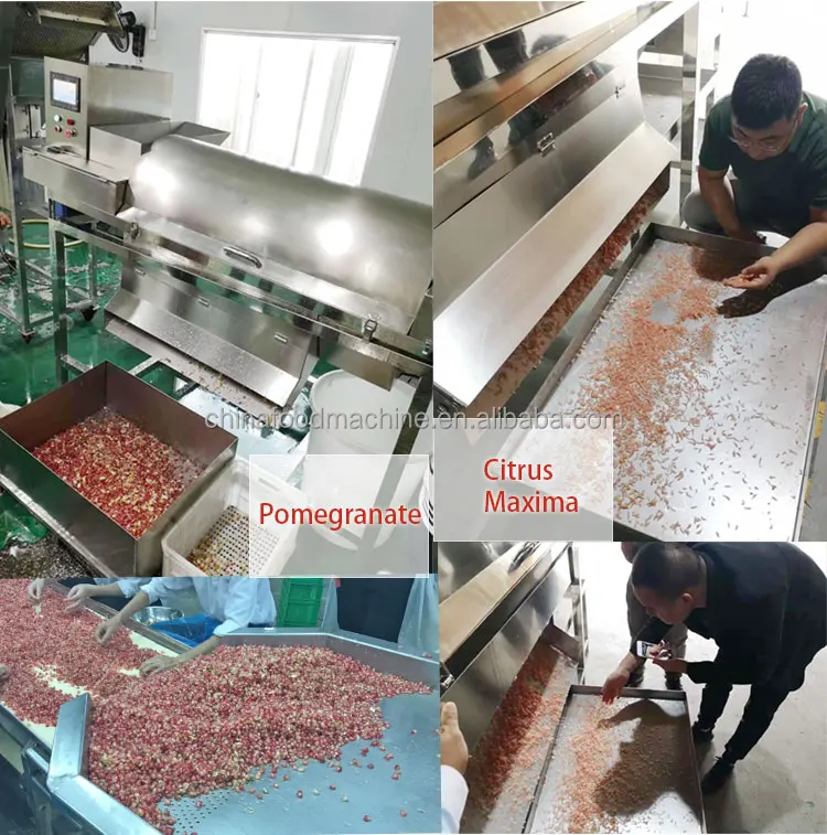 Lotus Seeds Skin Removing Passion Fruit Making Peeling Juice Machine Processing Line Pomegranate Peeler Machine supplier