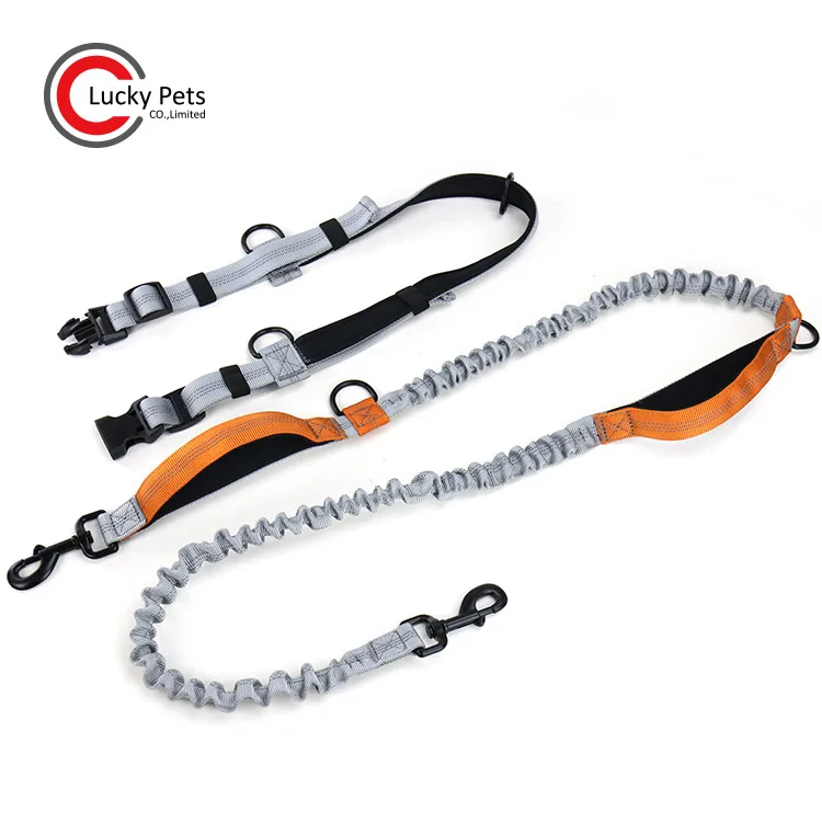 hand free leash 7