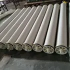 Membrane Filter 4inch UF Membrane Filter With Less Molecular Weight To Keep Enzyme And Remove Protein