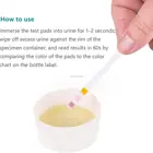 Urine Ph Test Urine Test Strips 11 Parameter CE Approved For Ketones UTI Urinary Tract Infections Glucose Urine PH