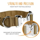 Collar Premium Weatherproof Polyester Durable Metal Buckle Heavy Duty Pet Training Tactical Dog Collar For Large Dogs