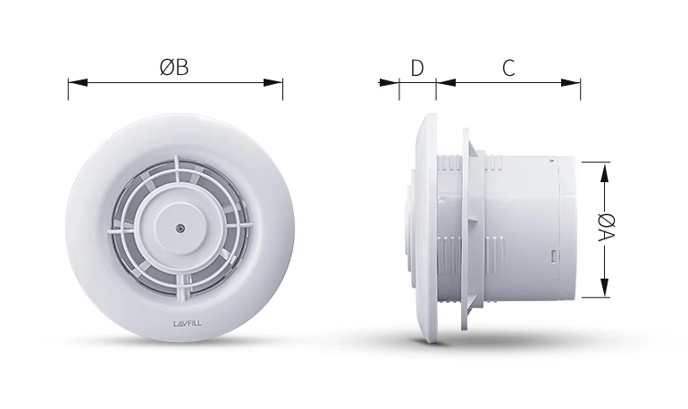 D11