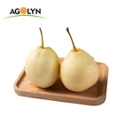 Pear Agolyn Hot Sale Wholesale Price Premium Chinese Fresh Ya Pear