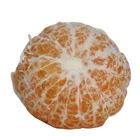 Fresh Factory Direct Sale Of Fresh Citrus With Sweet Taste Medium In Size And Rich In Organic Matter