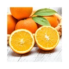 Orange Natural Organic New Season Fruit Wholesale Price Navel Orange Sweet China Orange
