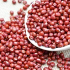 Beans Wholesale Adzuki Pearl Type Small Round Red Beans