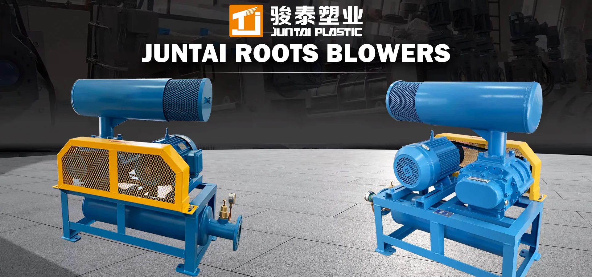 Roots Blower, 220 V, Electric - detail 2