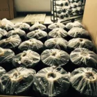 Polyester Dty Melang Grey Yarn 100d/144f