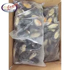 Shellfish Green Mussel Supplier Chinese Imports Wholesale Seafood Products New Zealand Green Blue Shell Mussels