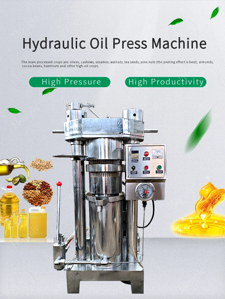 Hydraulic Olive Oil Press Machine Commercial Cocoa Butter Oil Extraction Machine Walnut Oil Expeller Equipment factory