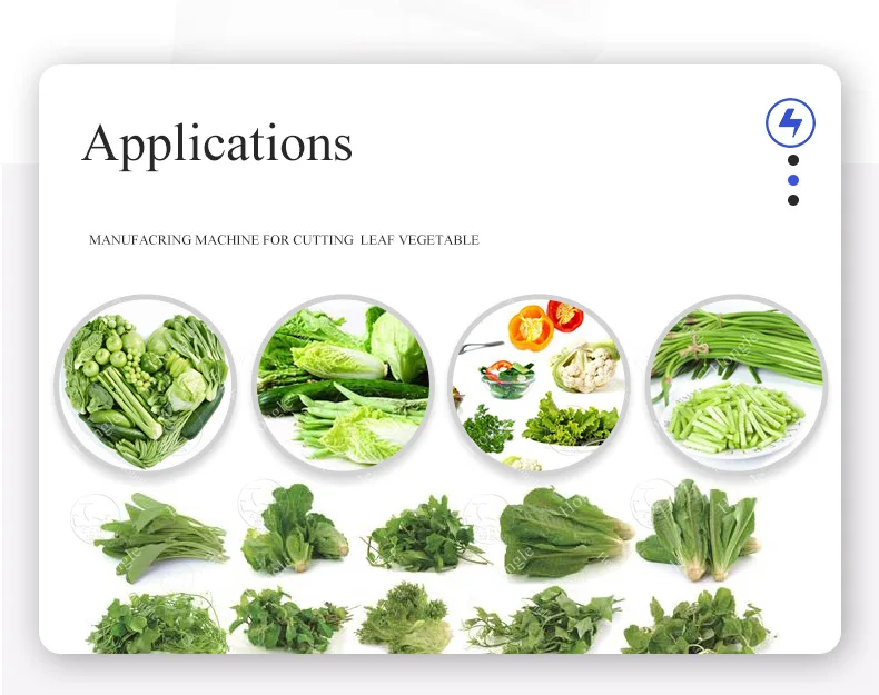 Parsley and Fresh Leaf Vegetable Cutter Machine Spinach Processing Plant with Dicer Function for Fruits and Vegetables supplier