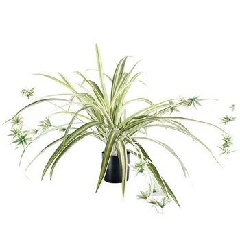 Wholesale Artificial Plants Silk Greenery Chlorophytum Leaf Grass In Pot For Indoo And Outdoor Decoration
