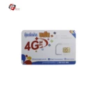 Smart Card Sim Access Card Price China Supplier Smart Business Card Access Control Card Sim Card