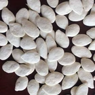 Price Bulk Seeds New Product Competitive Price Bulk Supply Organic Hybrid Pumpkin Seeds