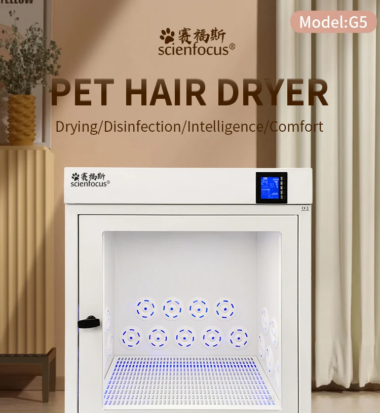 G5-S Hot Sale New Design Cat and Dog Hair Dryer Cabinet Small Pet Dryer Machine Pet Water Blower China Factory Direct Supplier