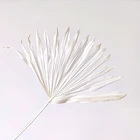 Mini Artificial Wedding Decoration Bouquet Dried Palms Leaf Mini Sun Palm Leaves For Home Decor