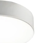 Pendant Led Lamp CHONON 3000k 4000k 5000k 6000k White Black LED Ceiling Pendant Lamp