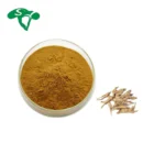 Herbs For Skin 30% Angelica Polysaccharide Powder Chinese Herbs Angelica Root Extract For Skin Care