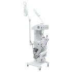 16 In 1 Beauty Popular Product VY-2008A 16 In 1 Multifunctional RF Ultrasonic Face Clean Beauty Machine