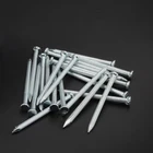 Nails Steel Factory Price Galvanized Flat Head Common Nails Iron Large Electro Galvanized Iron Spike Wire Steel Nails