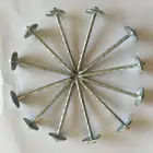 Roofing Nails Assembled Roofing Nails With Washer From China