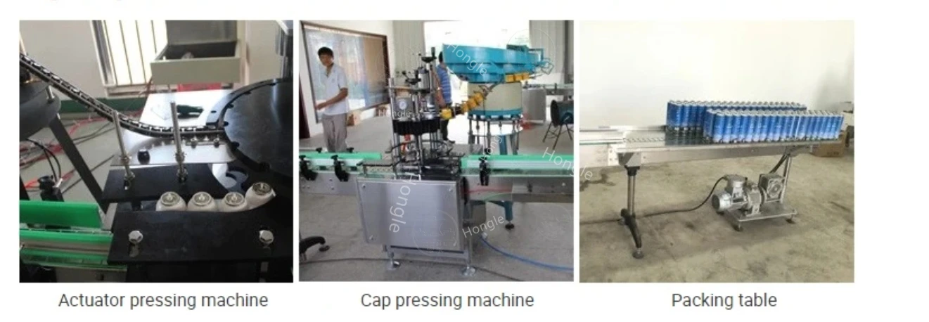 Full Automatic Aerosol Detergent Pesticides Automotive Carb Cleaner Filling Machine Production Line Maquina De Espuma En Aerosol details