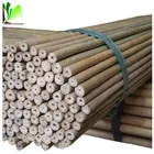 Bamboo Supportive Bamboo Canes/ Agricultural Farm Tools