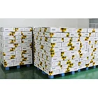 Oil Sunflower Chinese Top Quality White Confectionery Bakery Grade Oil Sunflower Seed Kernels