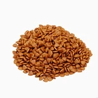 Cat Food Beef Flavored Dry Cat Food For Adult Cat OEM Private Label Pet Food