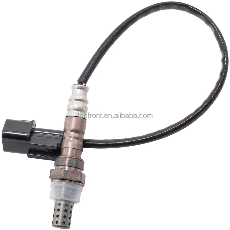 MD312083 (5).jpg