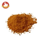 Spices For Spice And Seasoning Hot Spices Mix Seasoning Bouillon Powder For Snack/chips