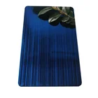 Sa Bead Asme Sa 240 Electric Bead Blasted Blue Stainless Steel Sheet Elevator Door Panel